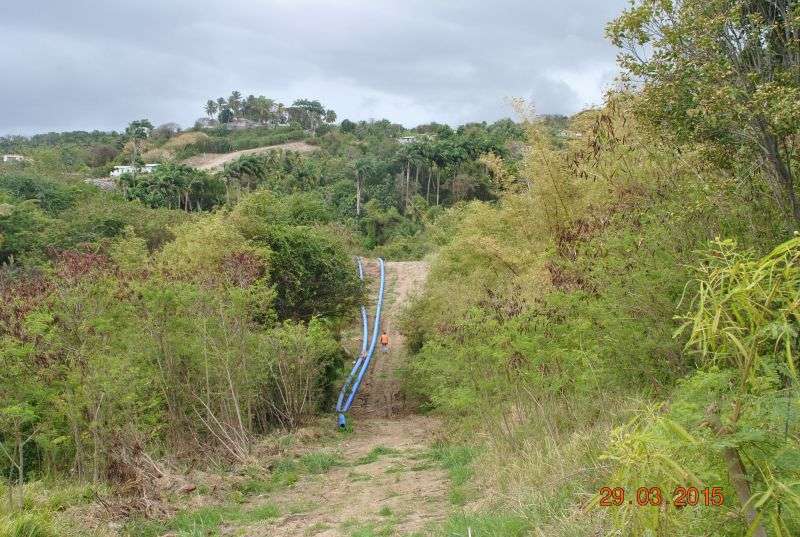 Ben’s Spring Barbados