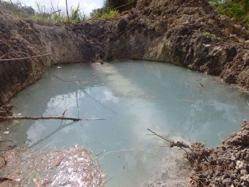 Ben’s Spring Barbados