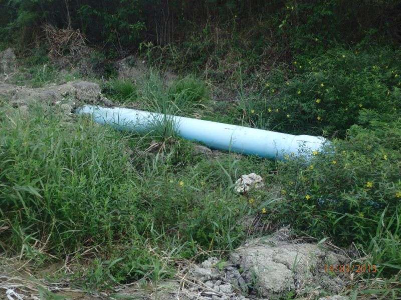 Ben’s Spring Barbados