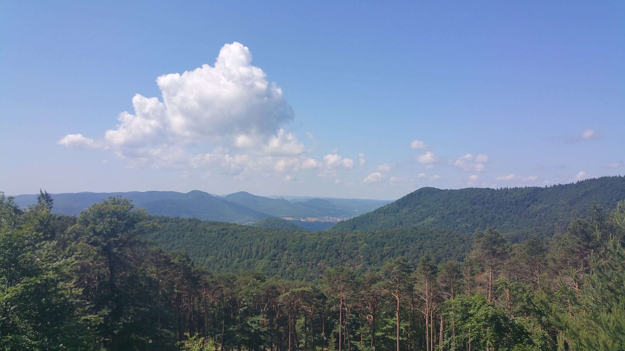 Palatinate Forest, Germany