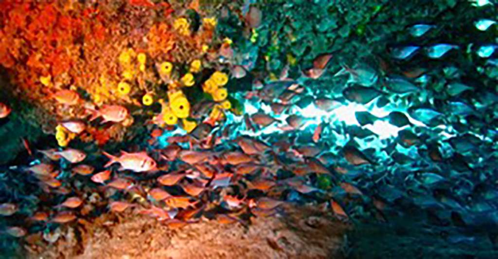 Moving the riveted steel bulkhead from the Cornwallis