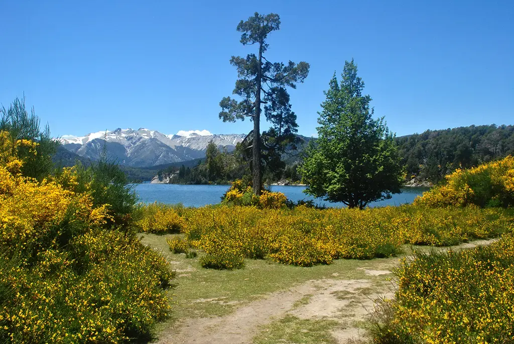 Argentina - Dec 2023