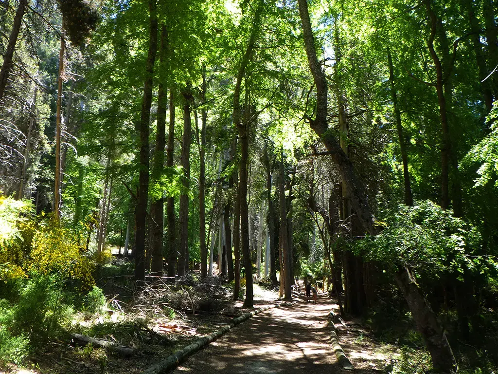 Argentina - Dec 2023