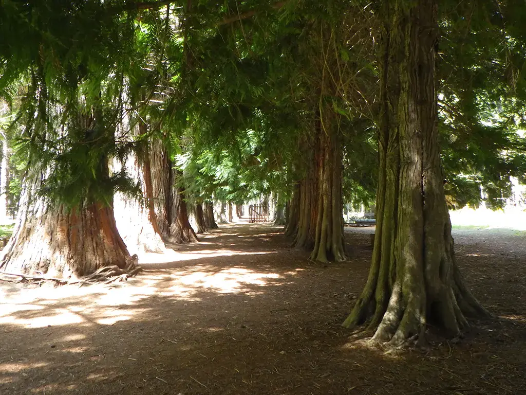 Argentina - Dec 2023