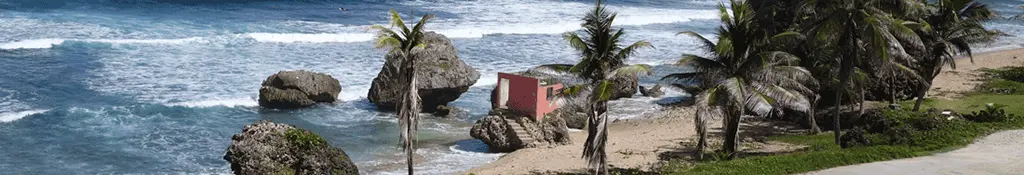 BajanThings Hero Image - BajanThings Header Image