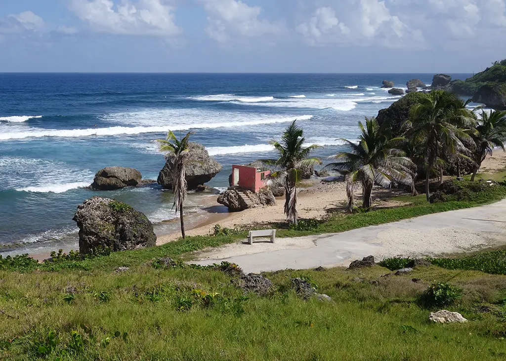 BajanThings Hero Image