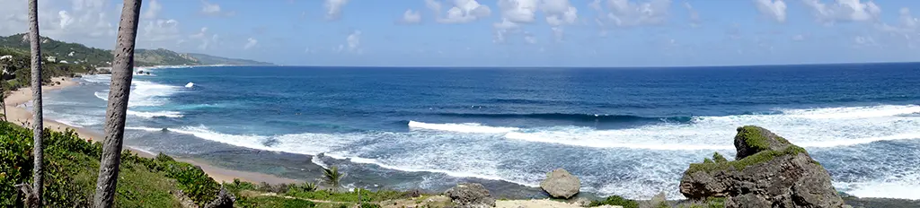 BajanThings Hero Image