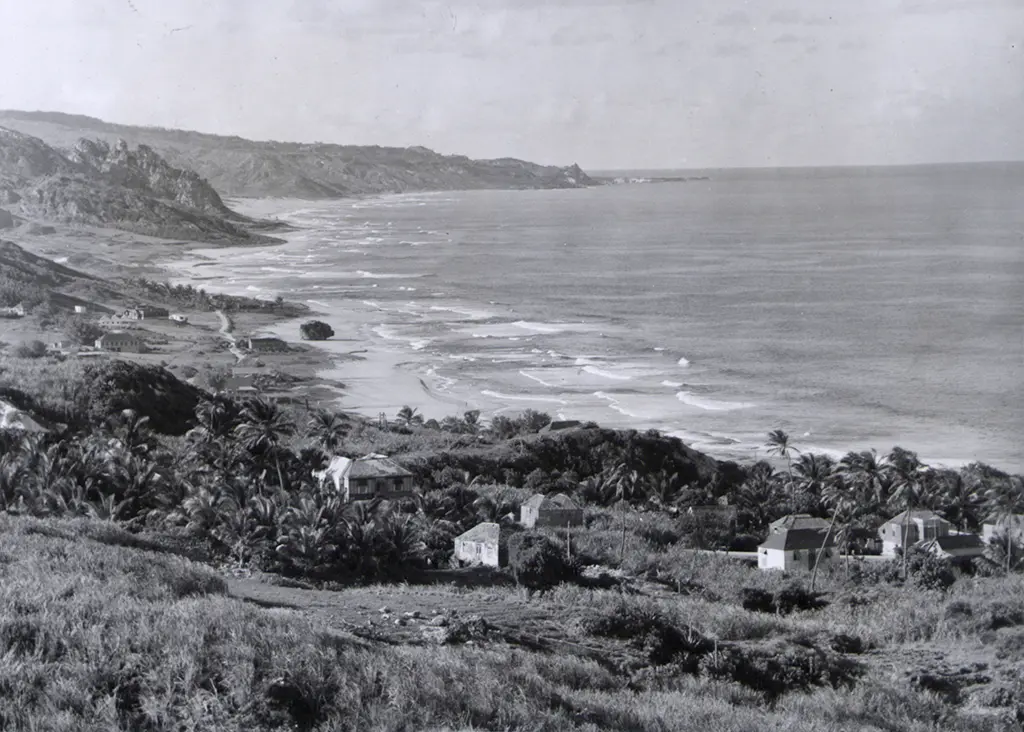 A stretch of the Atlantic Coast near Bathsheba