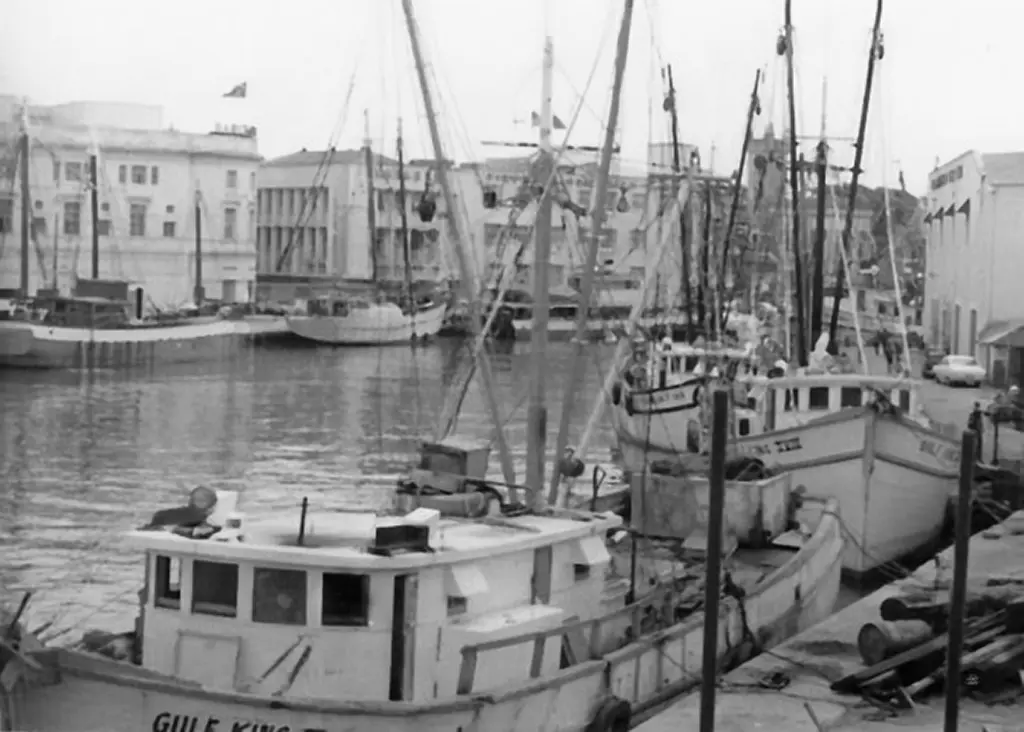 Careenage Shrimp Boats July 1970 Jim Webster
