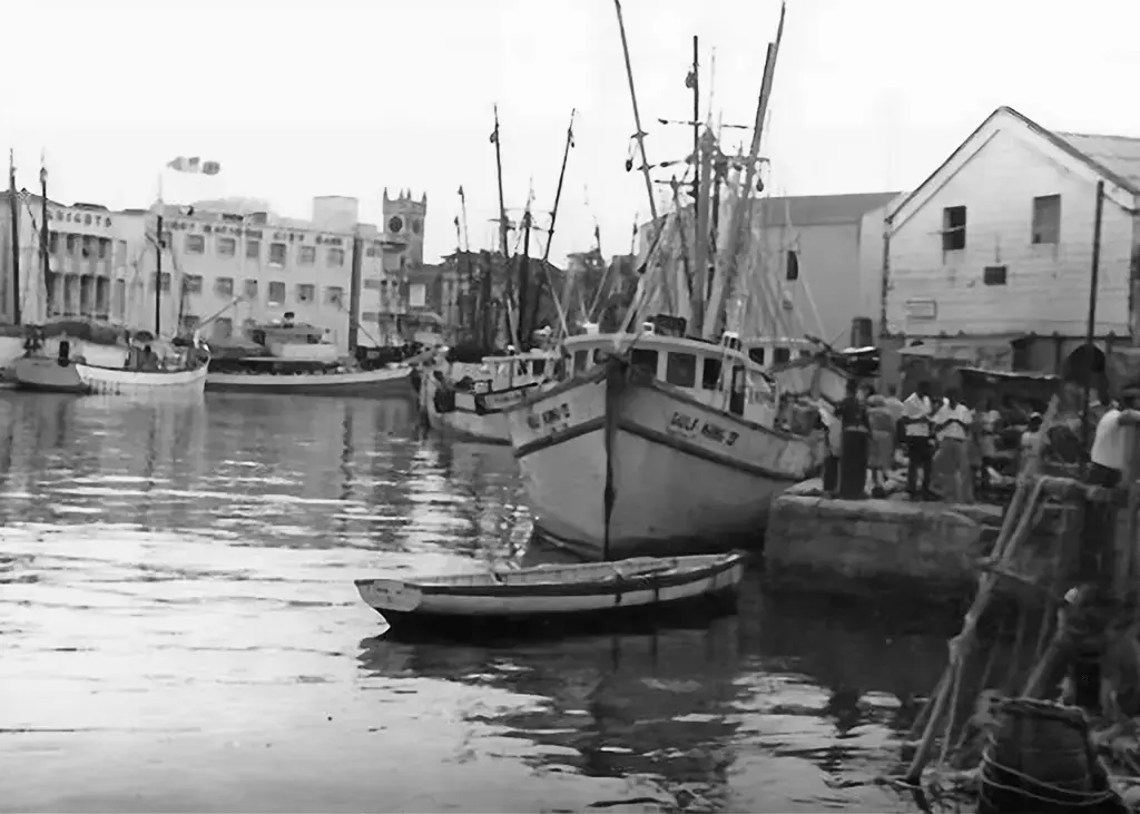 Careenage Shrimp Boats July 1970 Jim Webster