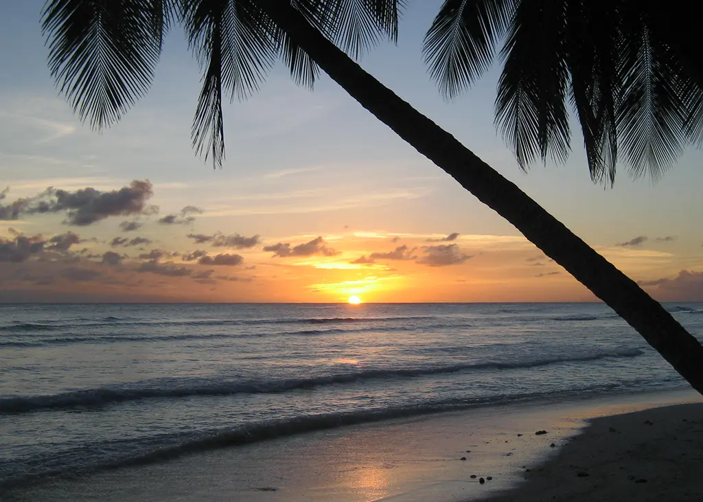 BajanThings Hero Image