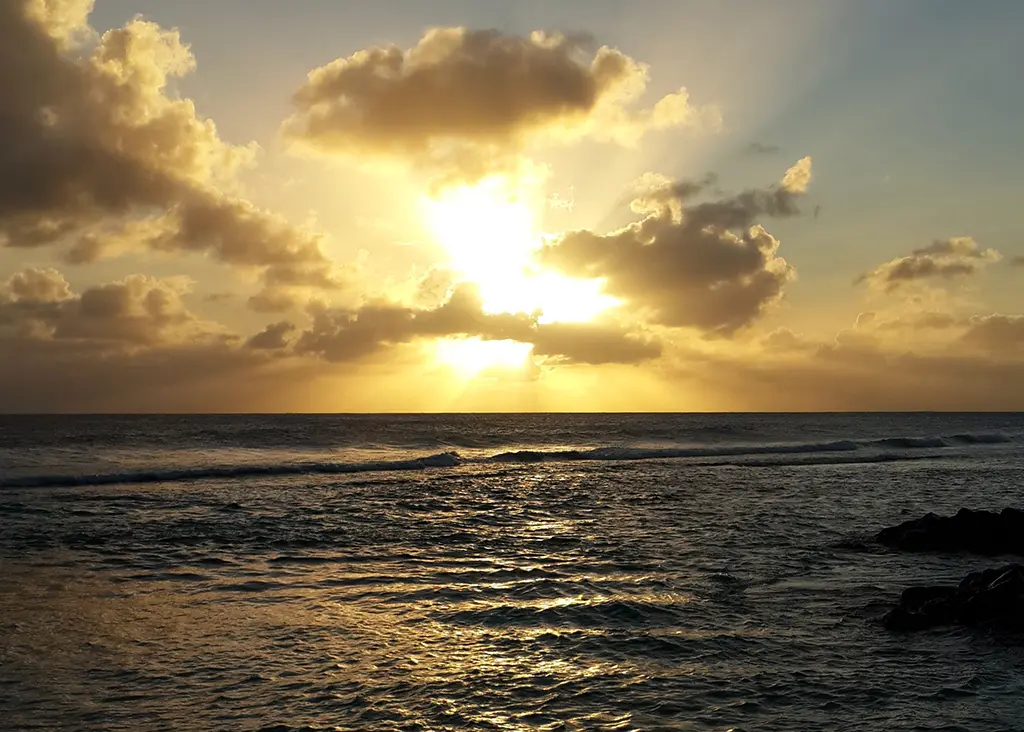 BajanThings Hero Image