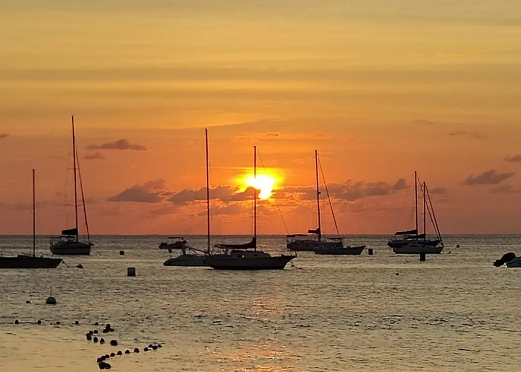 BajanThings Hero Image