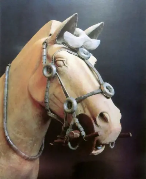 Terracotta Warriors - March 2014