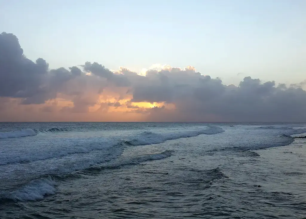 BajanThings Hero Image