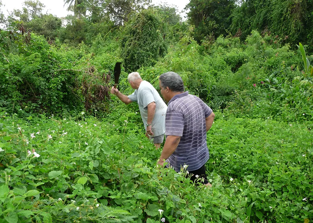 The Quakers in Barbados