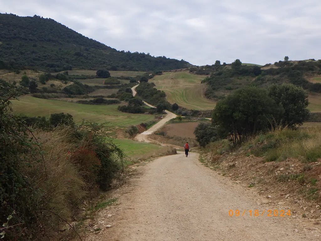 William walking the Camino de Santiago Frances