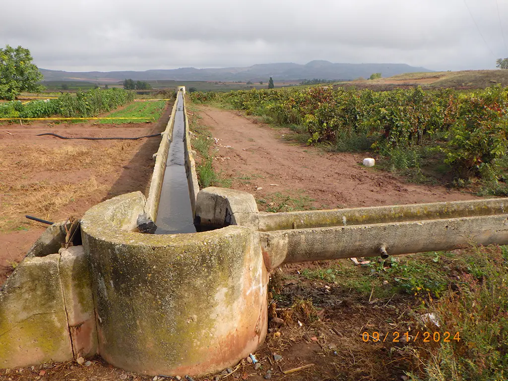 William walking the Camino de Santiago Frances