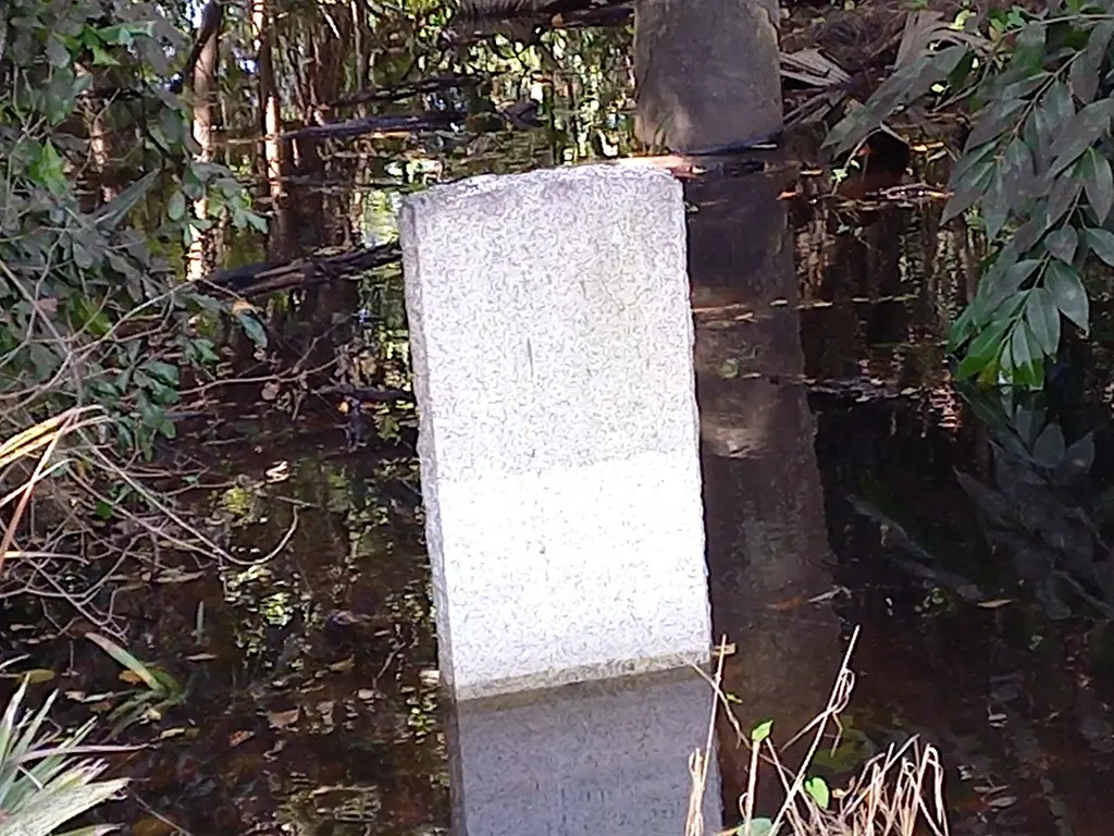 Commonwealth War Grave of Bajan WWI hero: Private Fitz Griffith in St. Lucy Churchyard taken: 6th November 2024