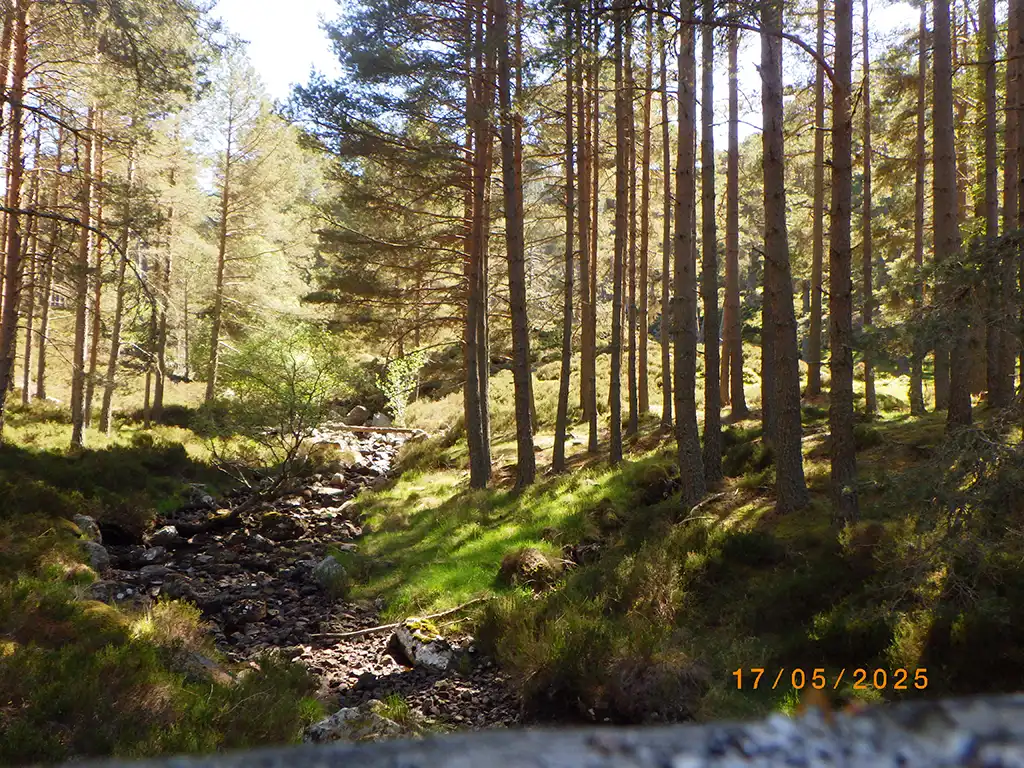 The Great Outdoor Challenge (TGOC) 2025