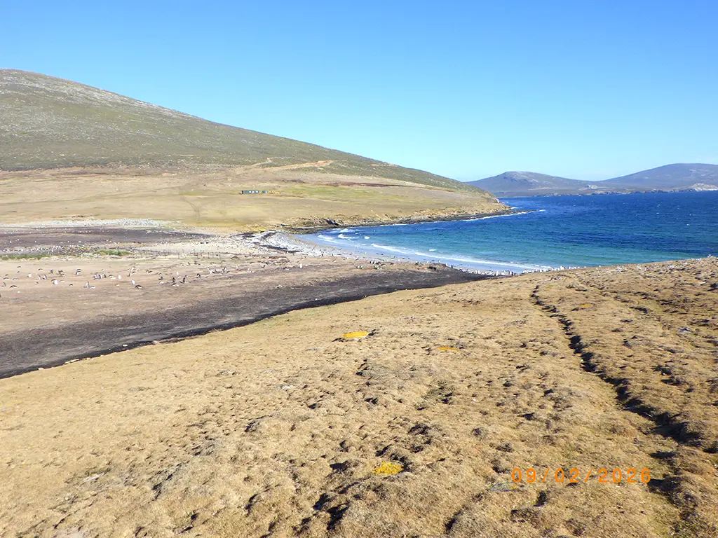 Falkland Islands - Saunders Island